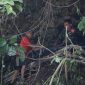 Hubungkan Kecamatan Tiris Dan Kecamatan Maron, Pipanisasi SPAM TMMD Capai 70 Persen