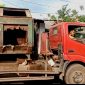 Truk Sampah DLH Bocor Parah Viral, Walikota LIRA Soroti Buruknya Pelayanan dan Jargon 