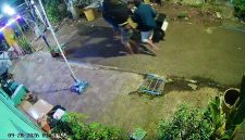 Tiga Pencuri Bercelurit Gasak Dua Motor di Kota Probolinggo, Aksinya Terekam CCTV