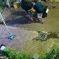 Tiga Pencuri Bercelurit Gasak Dua Motor di Kota Probolinggo, Aksinya Terekam CCTV